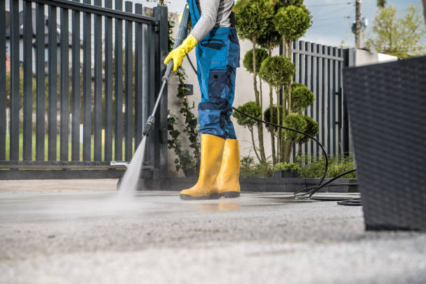 Best Affordable Pressure Washing  in Omro, WI